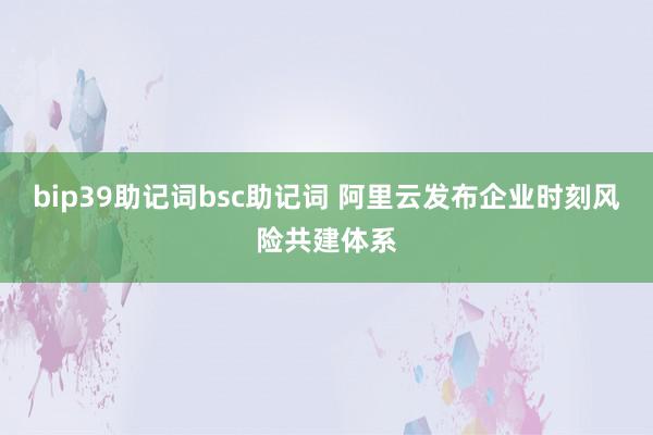 bip39助记词bsc助记词 阿里云发布企业时刻风险共建体系