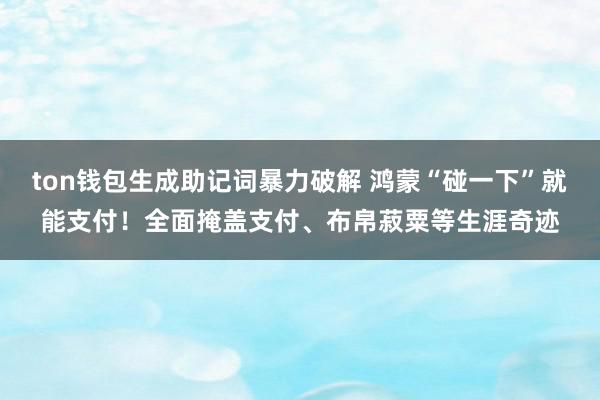 ton钱包生成助记词暴力破解 鸿蒙“碰一下”就能支付！全面掩盖支付、布帛菽粟等生涯奇迹